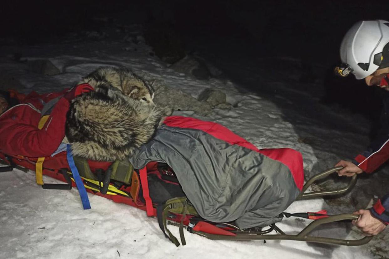 dog saves hiker