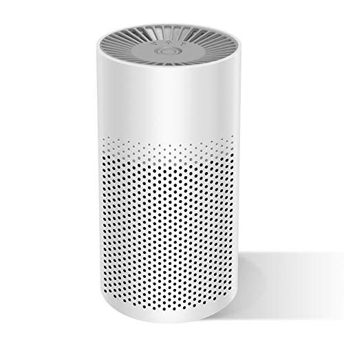 The Three Musketeers Mini Air Purifier (Amazon / Amazon)