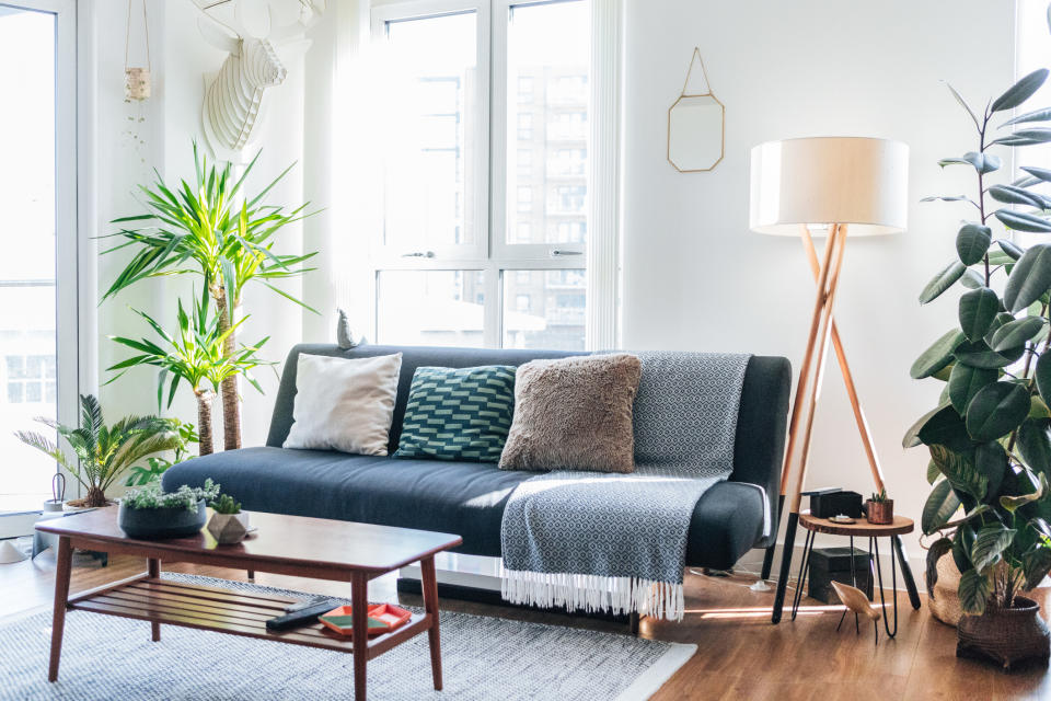 The houseplant love is continuing to rise. (Getty Images)