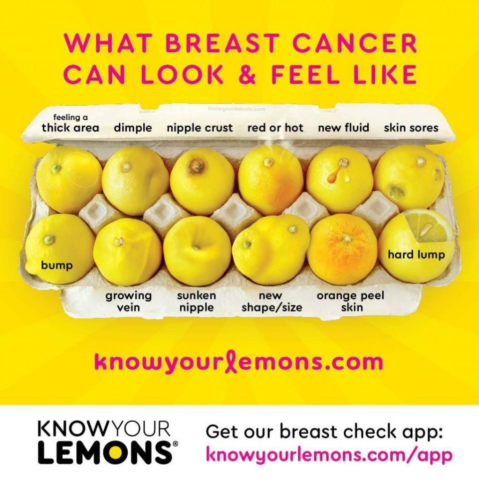 Credit: Know Your Lemons