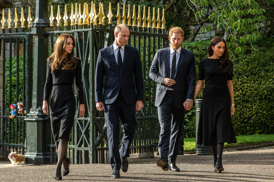 Prince and Princess of Wales And Duke And Duchess Of Sussex Walkabout Outside Windsor Castle Windsor (Mark Kerrison / In Pictures via Getty Images file)