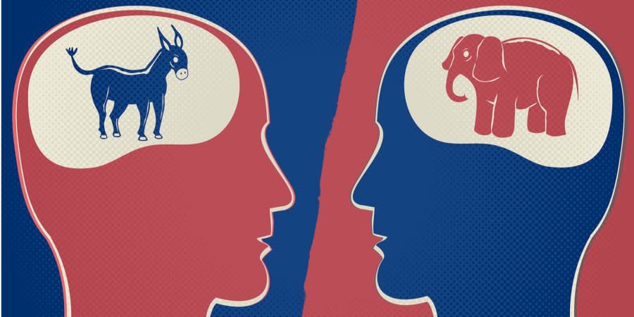 How the brain relates to political views