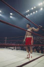 <p>Muhammad Ali stands in the corner of the ring during a match. (Photo by Focus on Sport/Getty Images)</p>