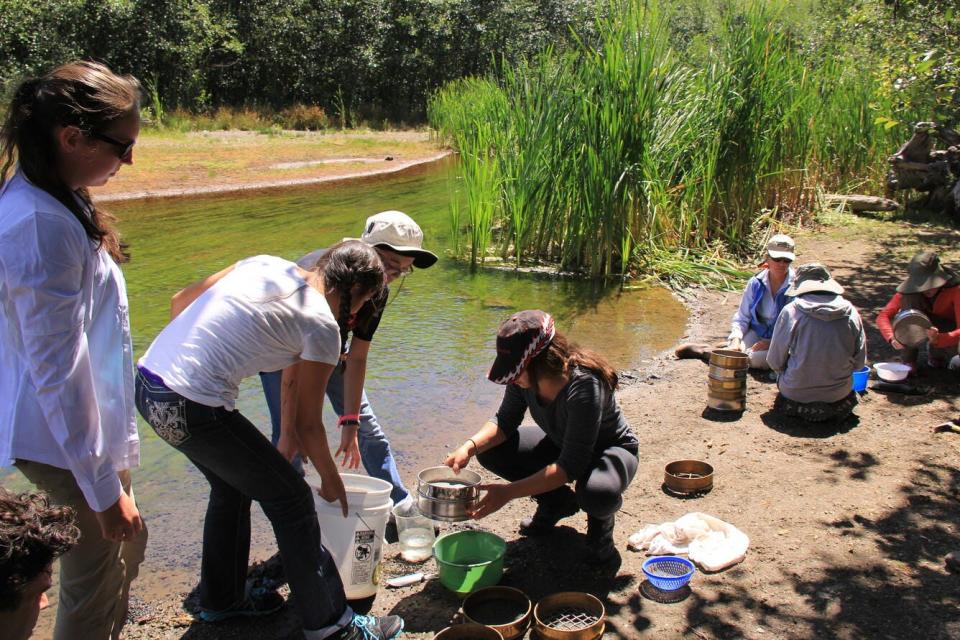 Several girls and women collect scientific samples by a river