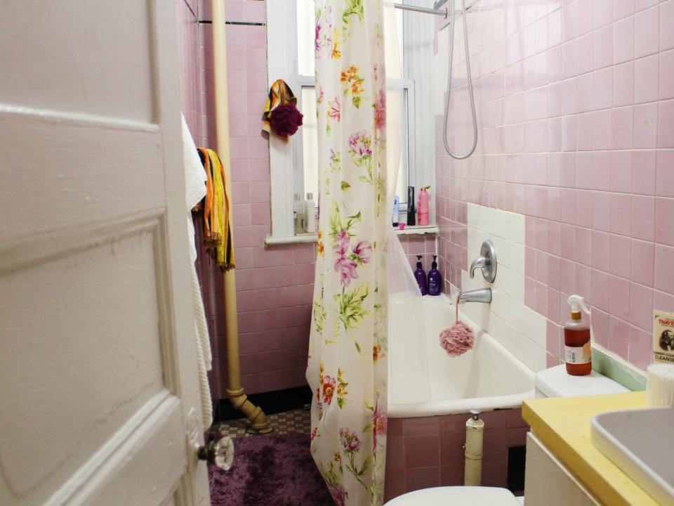 brooklyn apartment bathroom