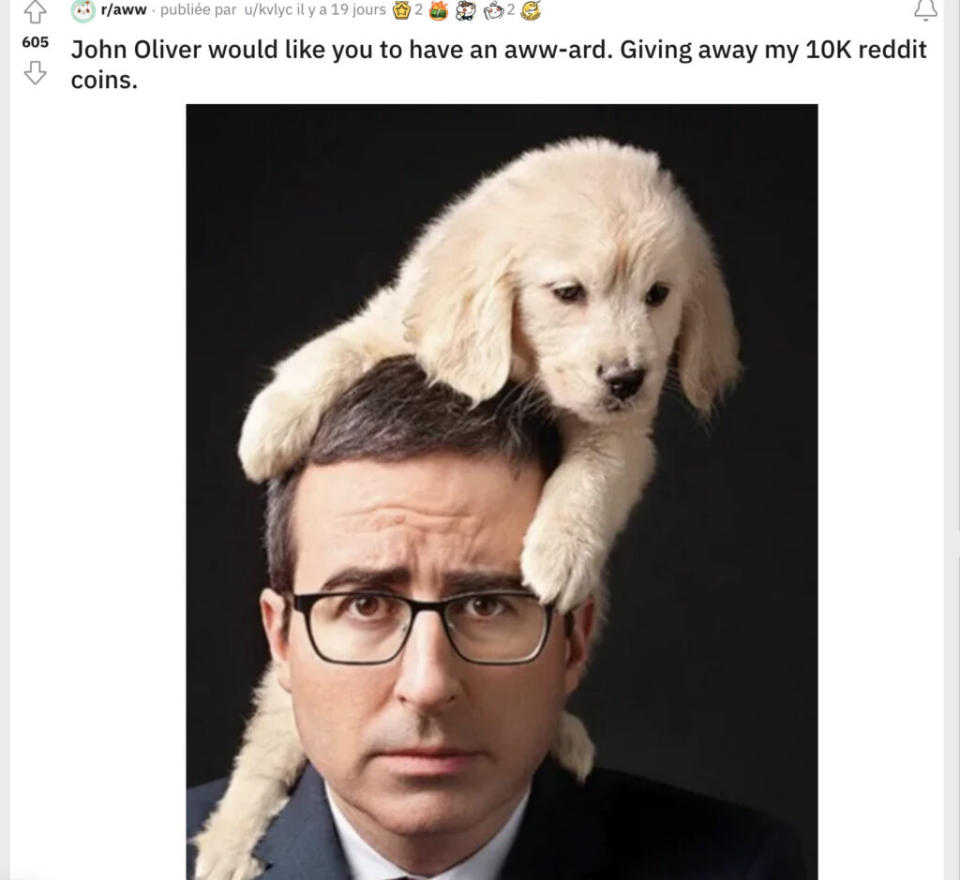 Jusqu'à début août, John Oliver était partout sur r/aww. // Source : Reddit. Capture d'écran Numerama.