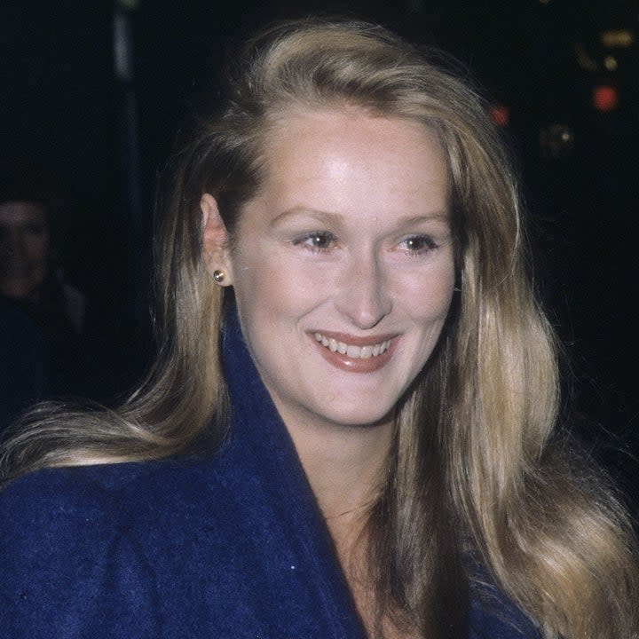 closeup of meryl