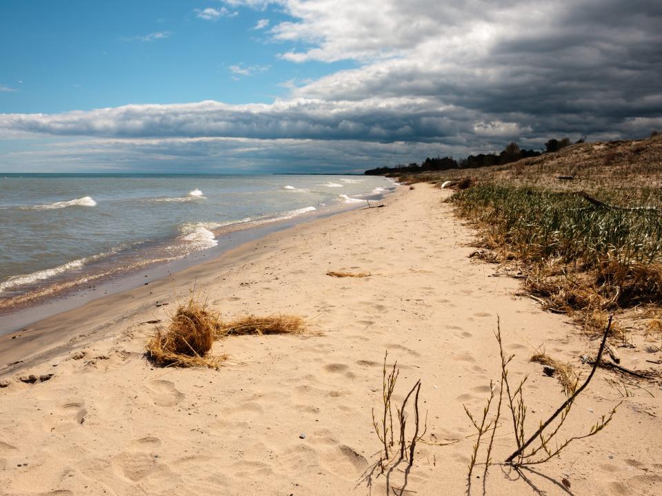 Kohler-Andrae State Park in Wisconsin.