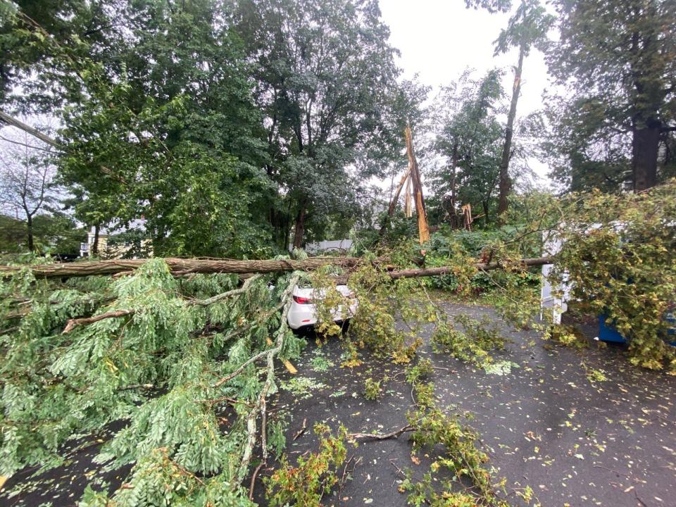 A hint of the havoc brought by swirling winds early Friday in the 500 block of Douglas Avenue in North Providence. Teams from the National Weather Service were inspecting areas damaged by the powerful storm to determine whether it was indeed a tornado that struck around 8:45 a.m.