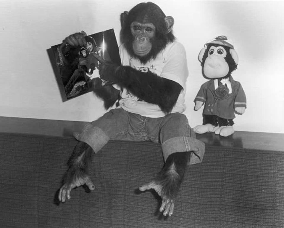 Bubbles the chimp was Michael Jackson&#x002019;s most famous pet. (Getty Images)