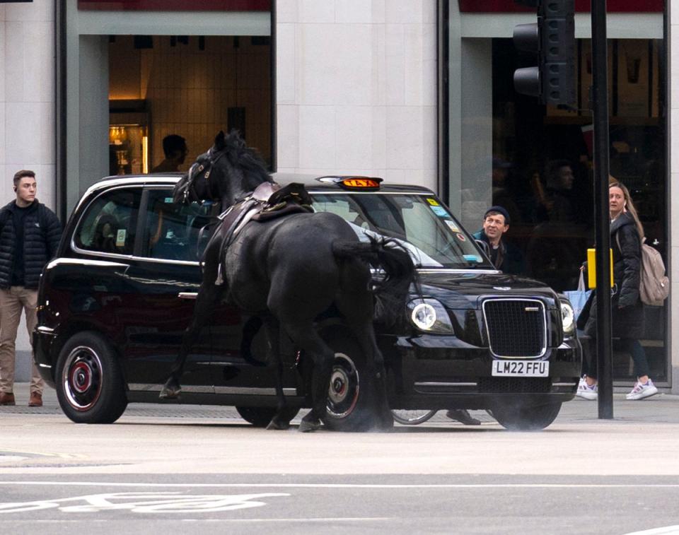 A black horse collides with a taxi after bolting down the A4 near Aldwych (Jordan Pettitt/PA Wire)