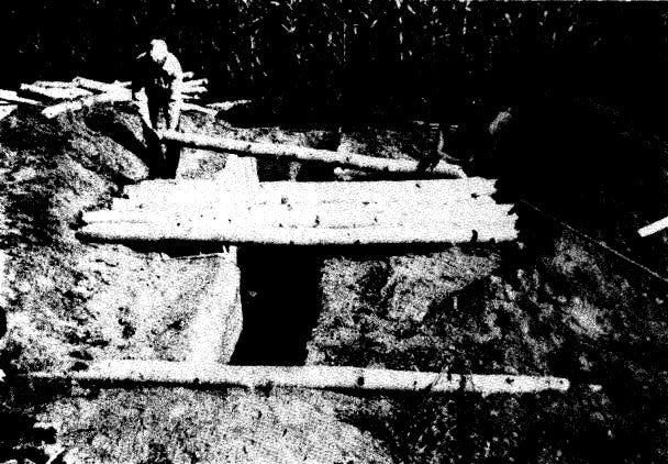 Black and white photo of a person placing logs over top a hole in the ground for their DIY fallout shelter.