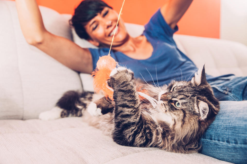 Das gemeinsame Spielen fördert nicht nur die Gesundheit der Katze, sondern stärkt auch die Bindung zum Menschen. (Bild: Getty Images)