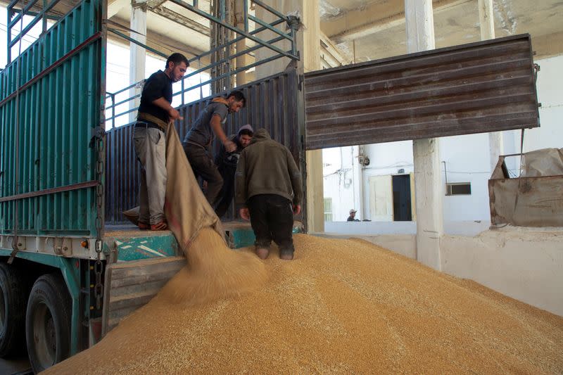 Workers unload grains of wheat at silos in the city of Qamishli