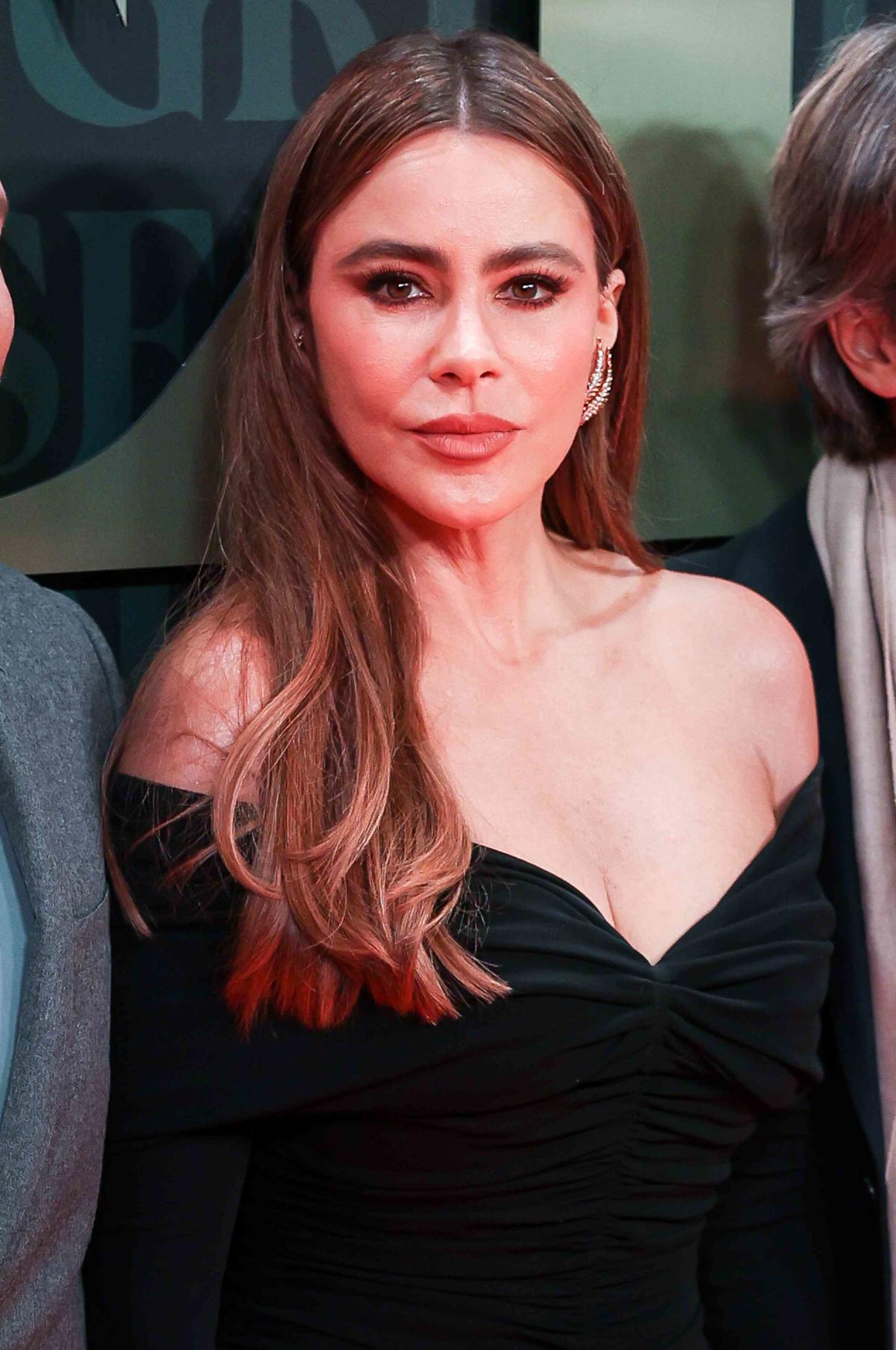 Sofia Vergara Shares Shocking Reason Behind Divorcing Joe