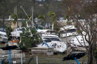 <p>Palm trees sway as winds continue along the water in Fort Myers, Florida, on Sept. 29.</p>