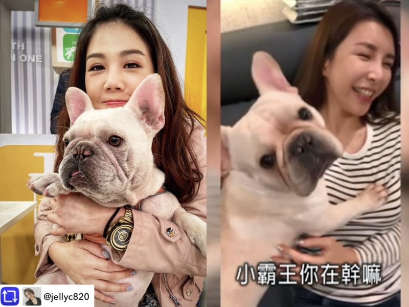 楊晨熙愛犬小霸王超愛吃女星豆腐。（圖／緯來）