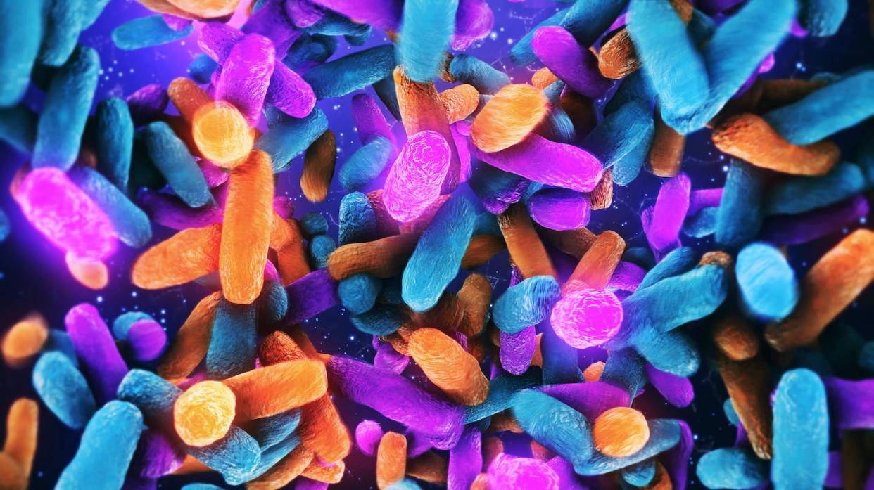 The gut microbiome may also play a role in personalized medicine. <a href="https://www.gettyimages.com/detail/photo/bacteria-lactobacillus-in-human-intestine-royalty-free-image/1338810328" rel="nofollow noopener" target="_blank" data-ylk="slk:nopparit/iStock via Getty Images Plus;elm:context_link;itc:0;sec:content-canvas" class="link ">nopparit/iStock via Getty Images Plus</a>