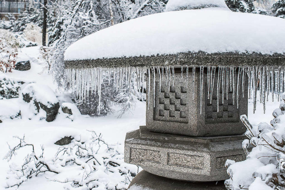 2021年1月，日本遭受暴風雪侵襲，庭園覆蓋一層厚厚的白雪。