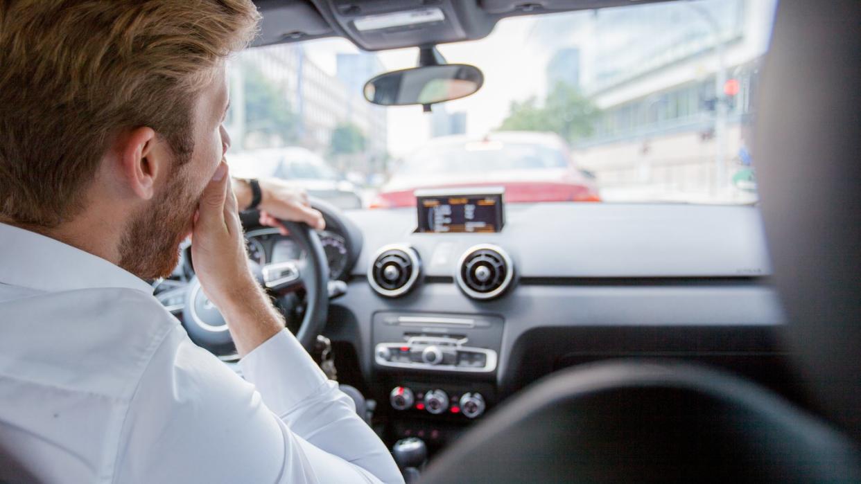 Bei einer Wespe im Auto nicht panisch reagieren, sondern Warnblinker einschalten und rechts ranfahren. Foto: Christin Klose/dpa-tmn