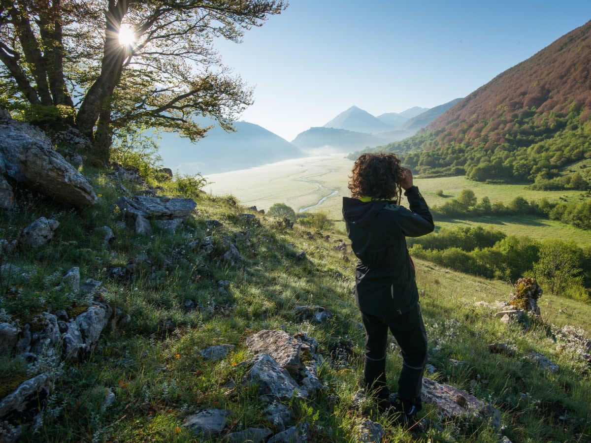 As rewilding gathers pace, there are more opportunities to spot secretive native creatures  (Umberto Esposito/Wildlife Adventures)