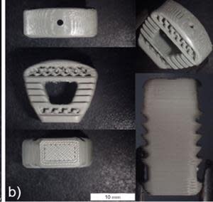 3DP SN-PEEK cages