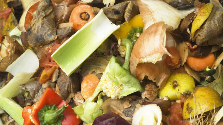 Food scraps for composting