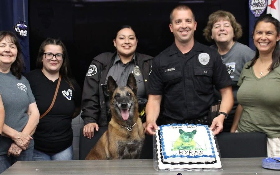 K9 retires