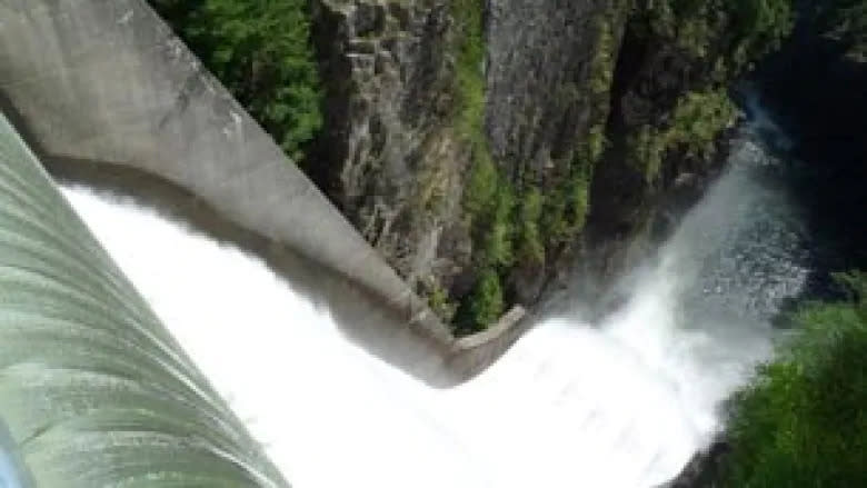 B.C. Emergency Health Services says people were caught up in the Capilano River after the accidental opening of the Cleveland Dam on Thursday. ((Jonathan Hayward/Canadian Press))