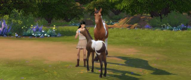 The Sims 4 free update adds Native American representation and