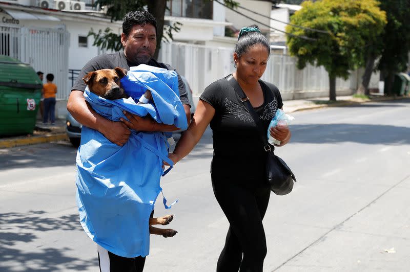 Un hombre carga a un perro rescatado de un incendio forestal en Chile