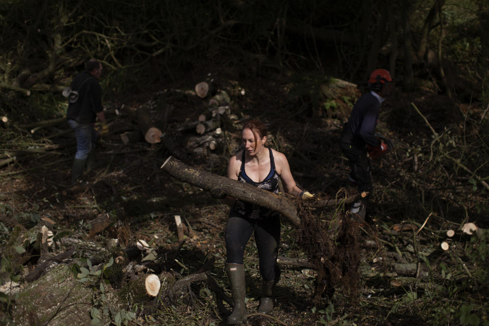 Helen Greaves, una estudiante de posgrado que forma parte del Pond Restoration Research Group del University College de Londres, saca árboles de un antiguo humedal en una zona agrícola cerca de Hindolveston, Dereham, en el este de Inglaterra, el 13 de septiembre de 2019. En los pantanos del este de Inglaterra, un grupo de agricultores, investigadores universitarios y conservacionistas están excavando las plantaciones de cebada y trigo para tratar de retroceder en el tiempo. Buscan pedazos barrosos de tierra que pueden indicar que hay estanques debajo. (AP Foto/Emilio Morenatti)