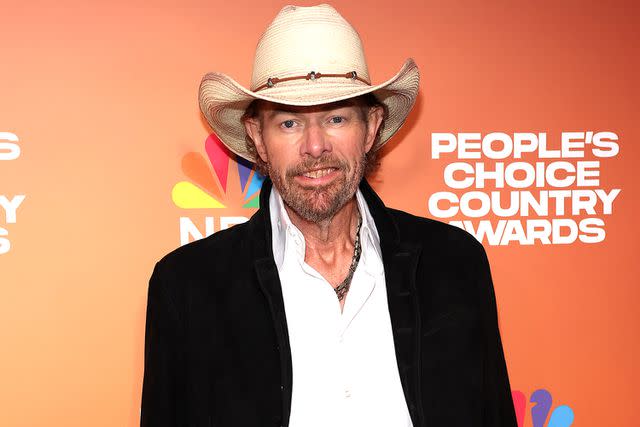 <p>Terry Wyatt/Getty Images</p> Toby Keith