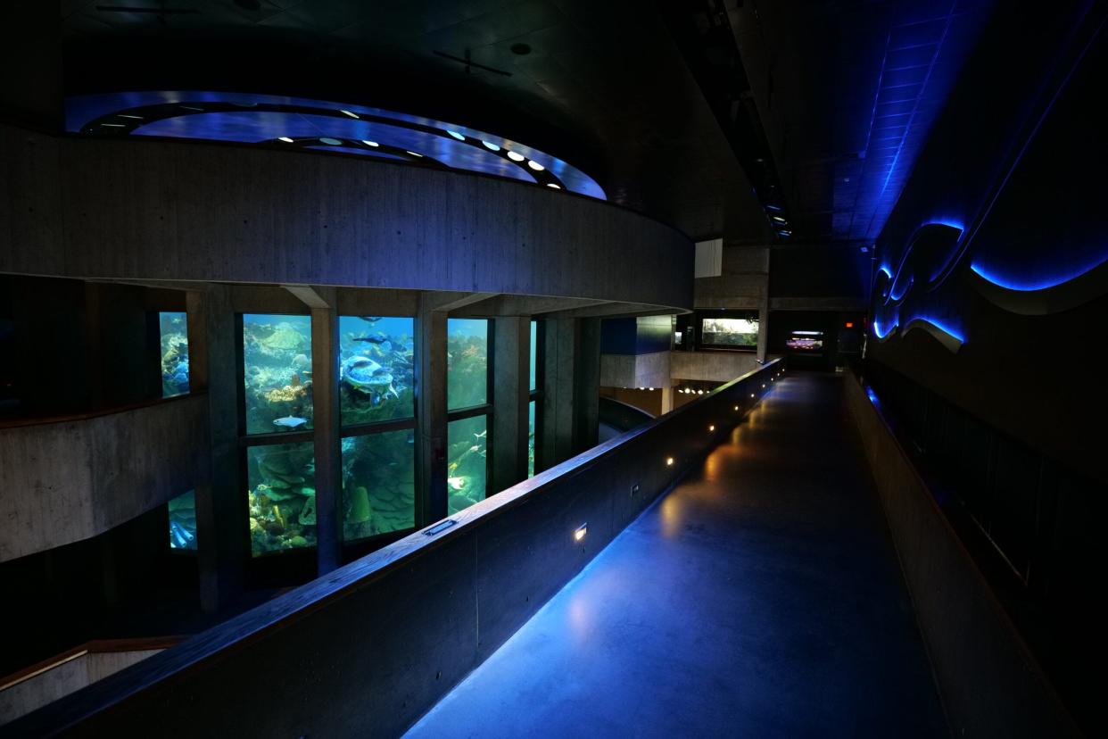 The Braintree Recreation Department is offering a day trip to the New England Aquarium during February vacation.