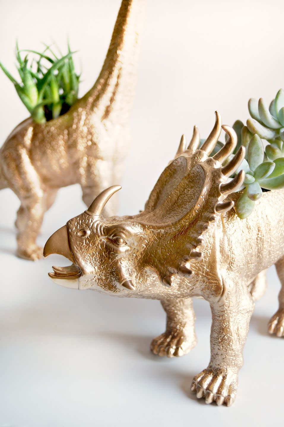 10) Dinosaur Planter