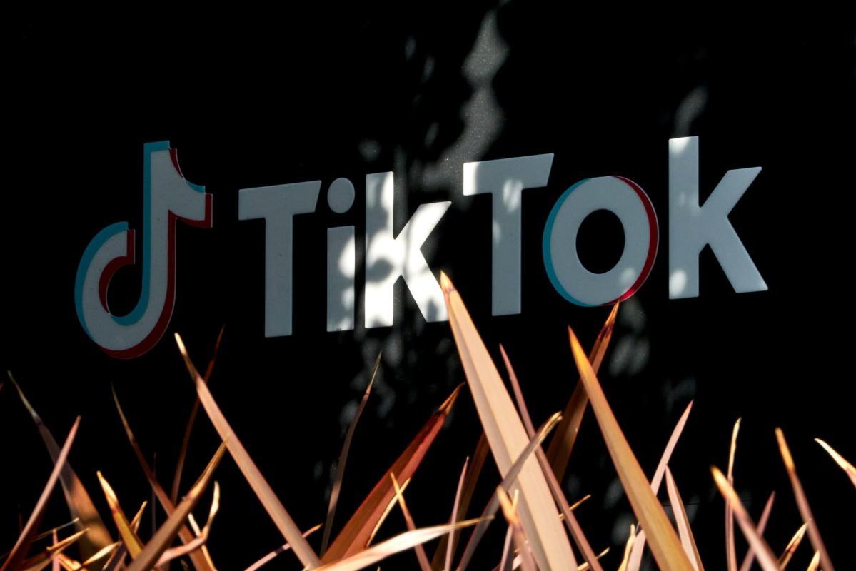 TikTok faces tough questions in court as it fights US ban