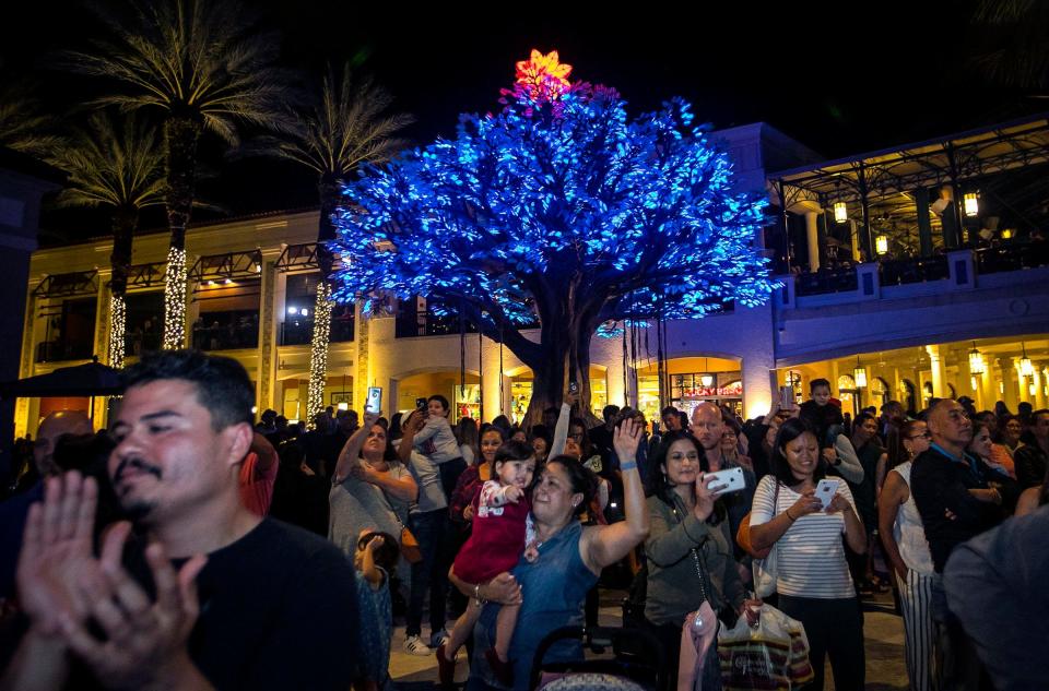 The Wishing Tree will be putting on nightly displays through the entire season at The Square in downtown West Palm Beach.