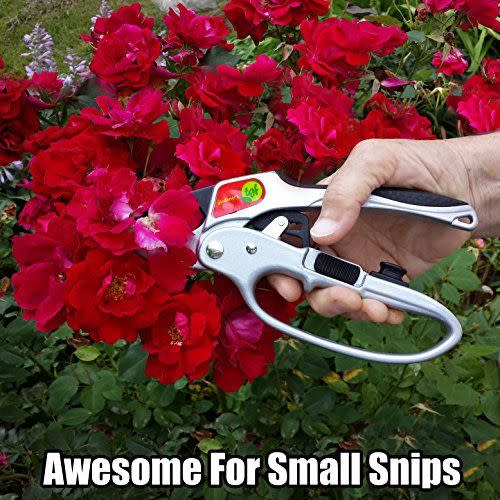 5) The Gardener's Friend Ratchet Pruning Shears