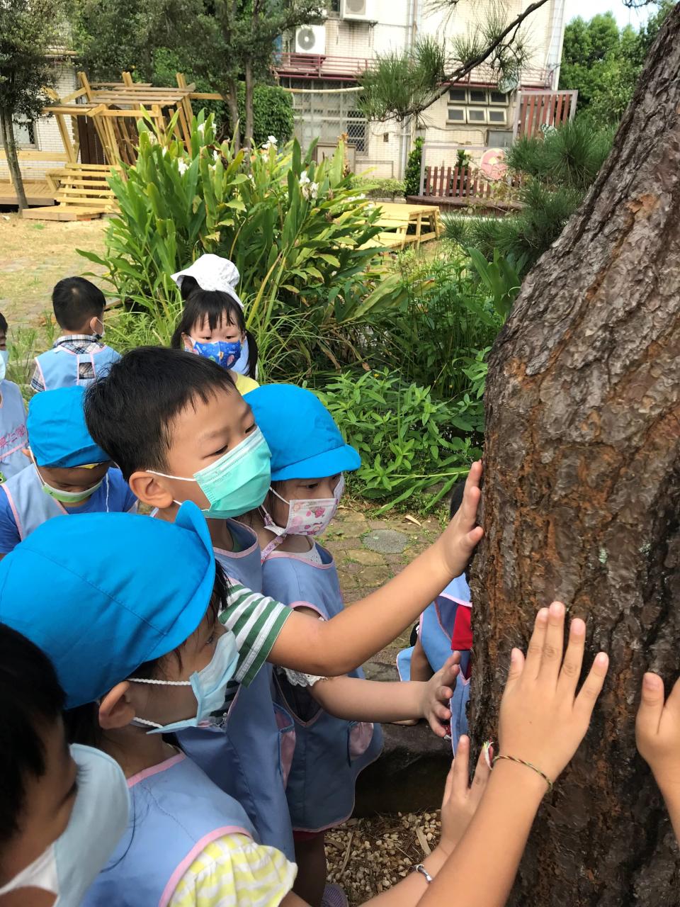 孩子在探索中累積生活經驗，也在實際觀察互動中發現大樹的美好