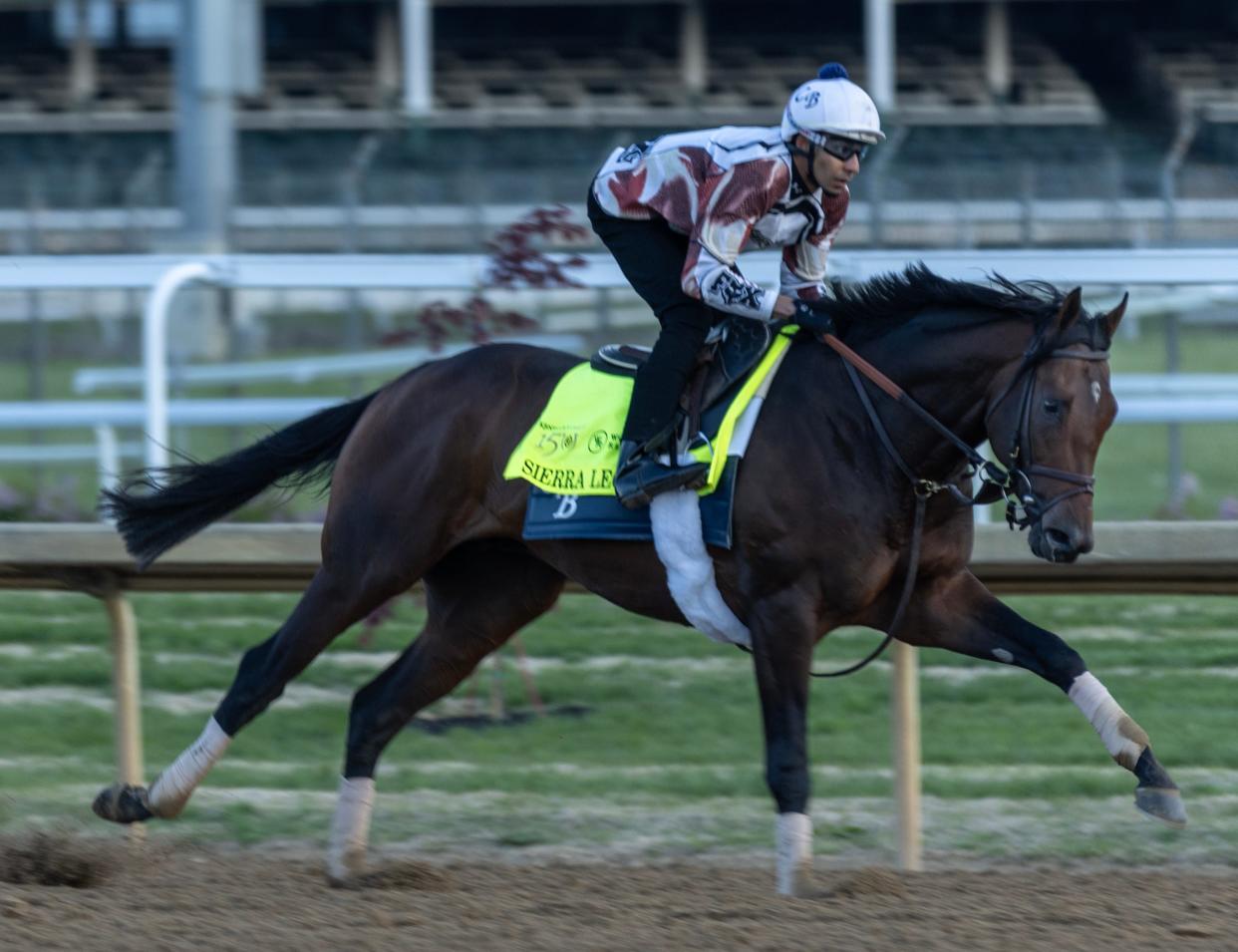 Kentucky Derby contender Sierra Leone gallops in the morning at Churchill Downs.