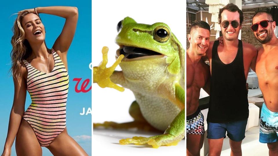 Bondi Sands model, a frog, and Shaun Wilson.