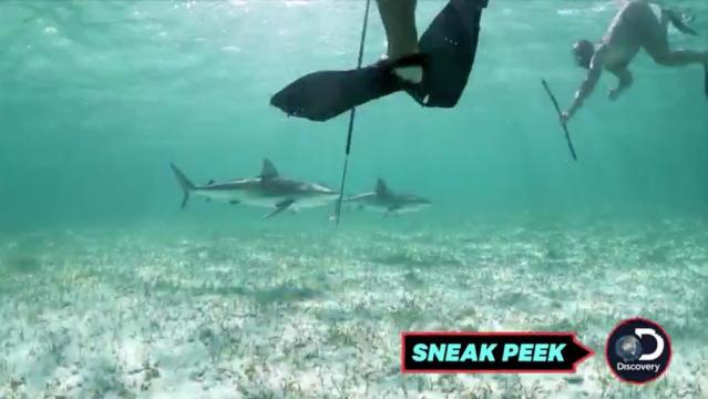 WATCH Naked And Afraid Of Sharks The Discovery Channel Strands Nude People In Shark Infested