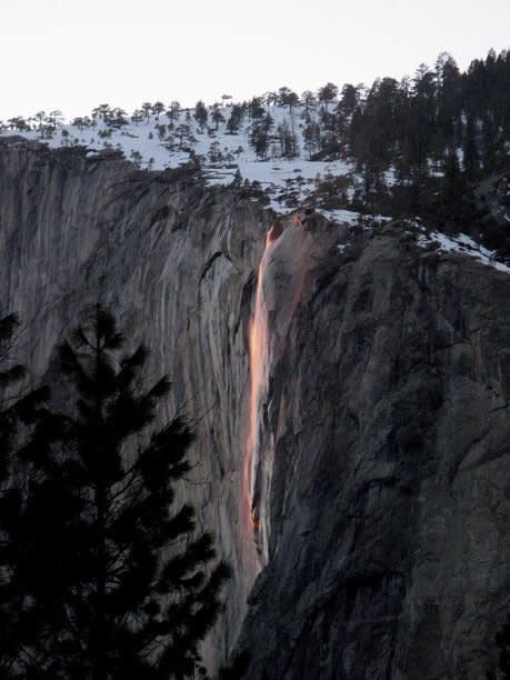 Each year from mid- to late February, Yosemite National Park's Horsetail Fall is lit up by the sun's rays when the weather is right, creating the illusion that the water flowing down is lava or fire. The phenomenon is called a 'firefall.'