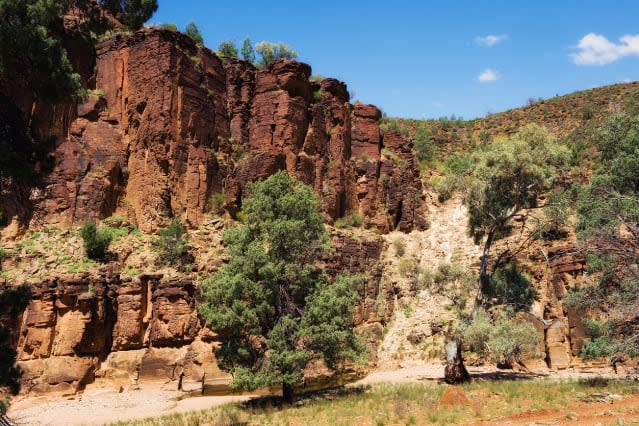 Steep Rocky with dry creek surround by  pine trees river gums gorge high at South Australia.