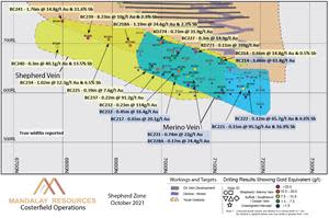 Longitudinal section of the Shepherd Zone Eastern Vein Group (600, 605 veins)