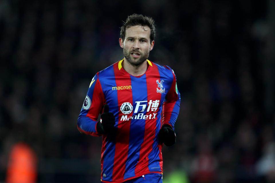 Hodgson is hopeful Cabaye will be fit for Saturday's trip to Arsenal: Getty Images