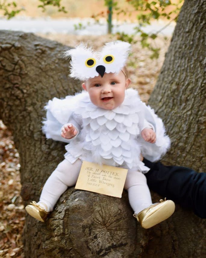 hedwig book character costumes