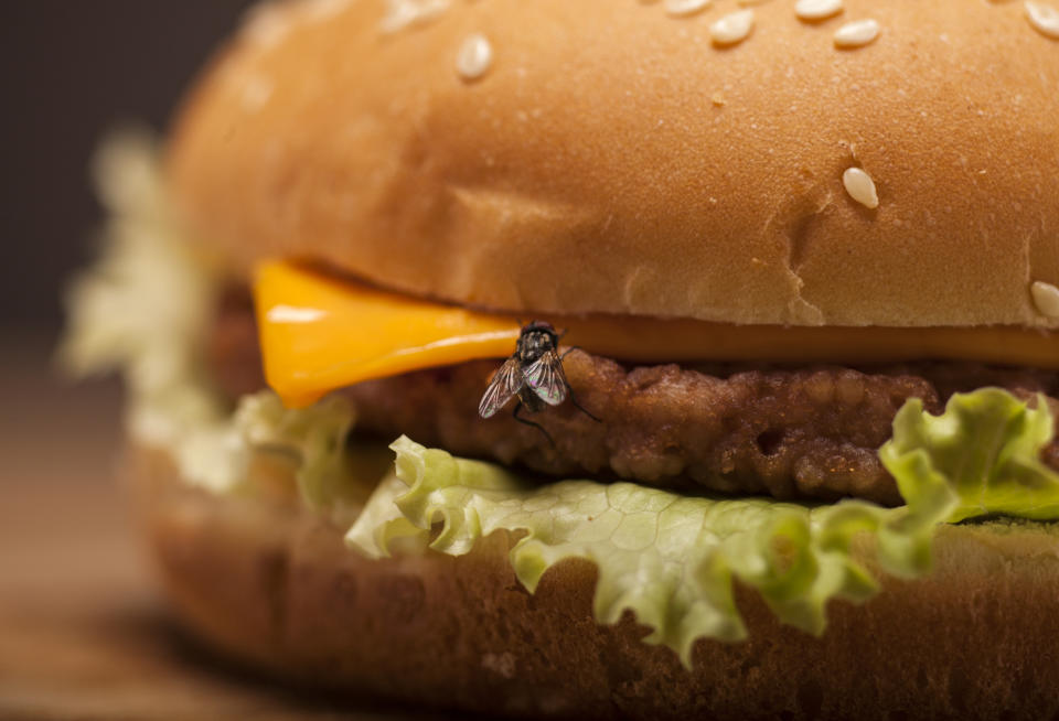 Un visitante indeseado se posa en una hamburguesa. Foto: NikiLitov/Getty Images