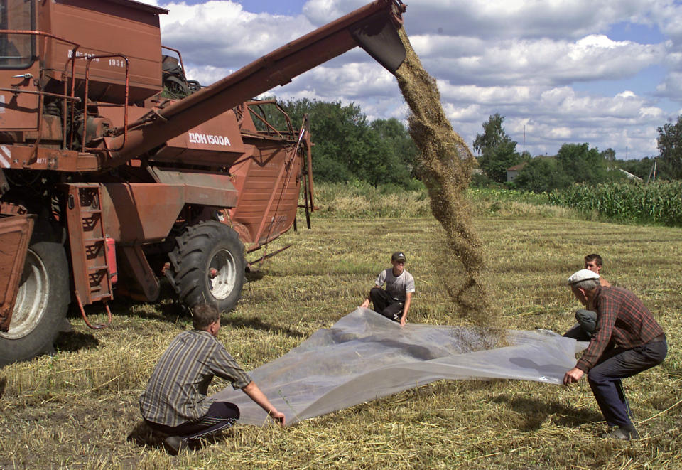 Ukrainian  farmers gather the grain harvest  in the northern Ukrainian village of Kysylivka, some 300 km (180 miles) from the capital Kiev, Friday, Aug. 22, 2003. 