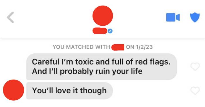 "careful i'm toxic and full of red flags and i'll probably ruin your life you'll love it though